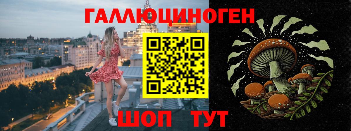 Галлюциногенные грибы Psilocybine cubensis Благовещенск